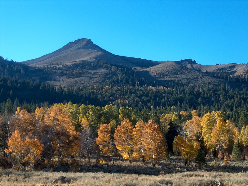 Fall in California near Carson Pass