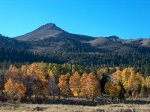 Fall in California near Carson Pass