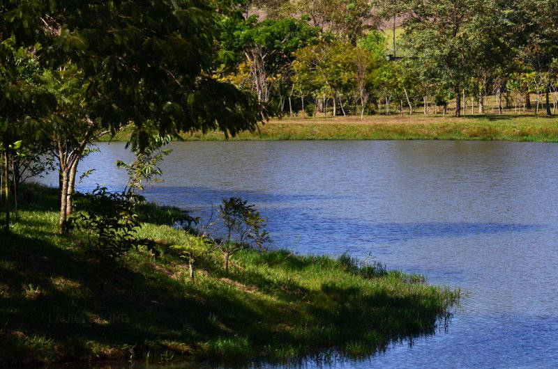 Beautiful park in Brazil