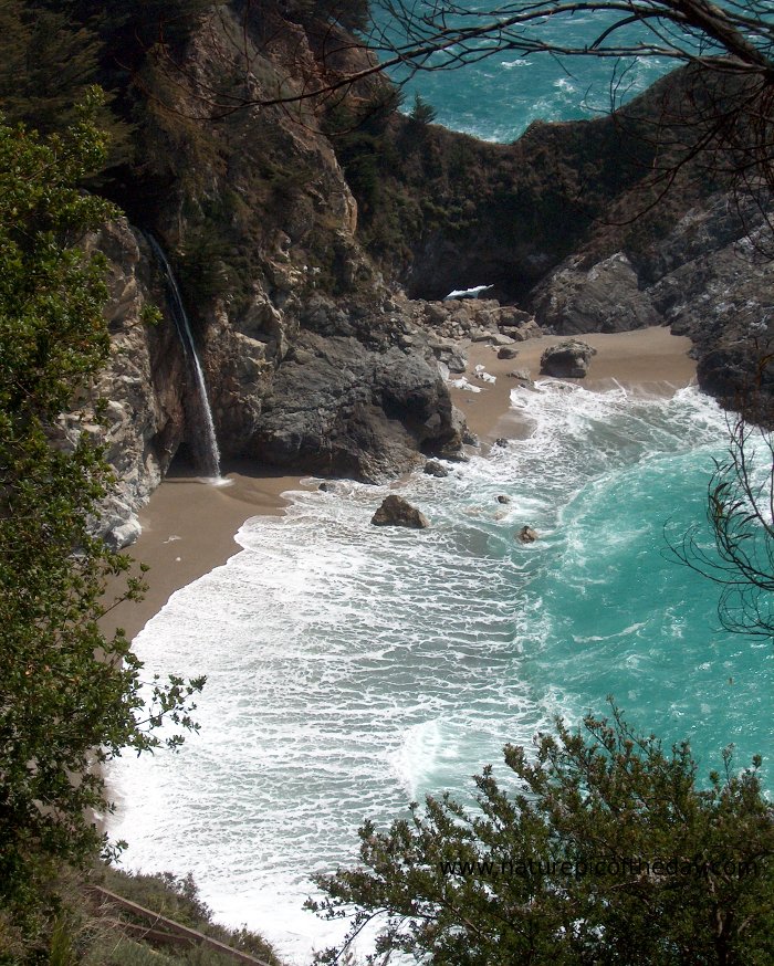 Julia Pfeiffer Burns State Park