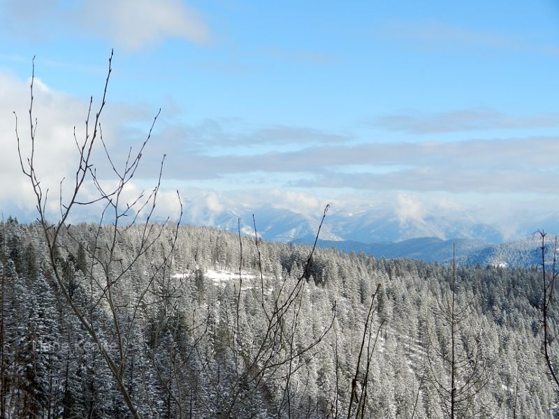 Snow covered Mountains in Montana