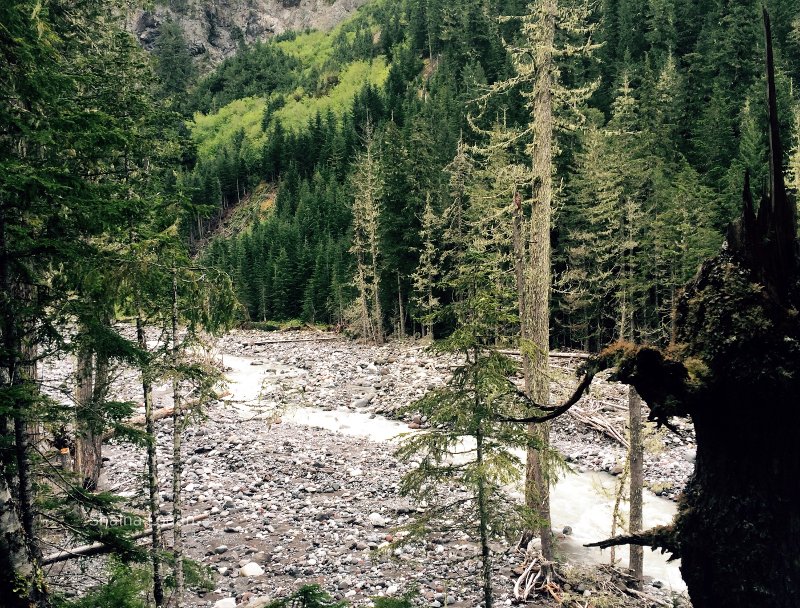 Nisqually River in Mount Rainier National Park