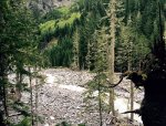 Nisqually River in Mount Rainier National Park