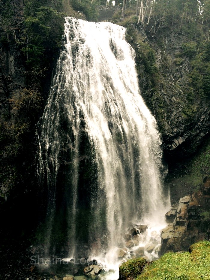 Waterfall in Mount Rainier National Park