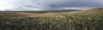 Eastern Montana Prairie