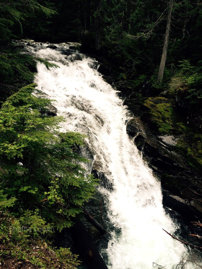 Waterfall in Mount Rainier National Park