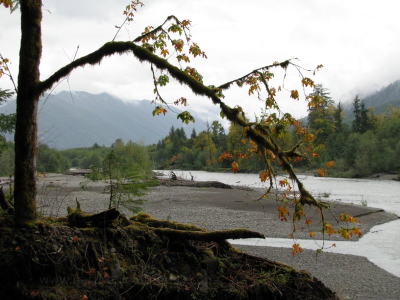 Hoh River, Washington