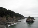 Forest covered cliffs on the Oregon coast