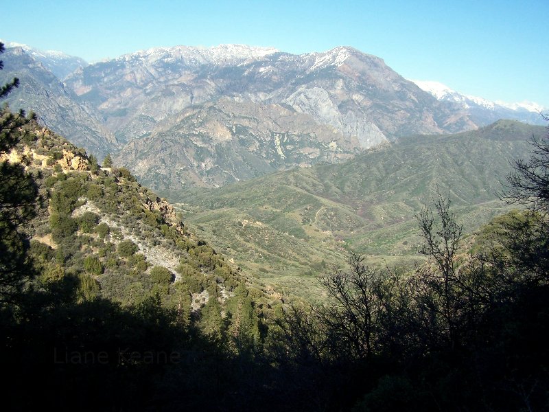 Kings Canyon National Park