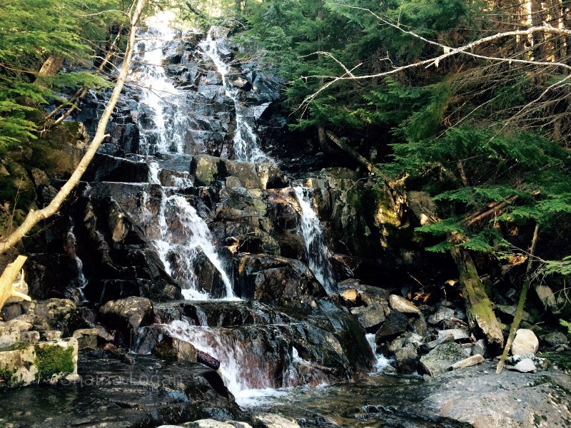 Waterfall on Mount Rainier