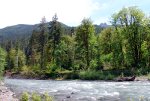 River on Olympic Peninsula, Washington State