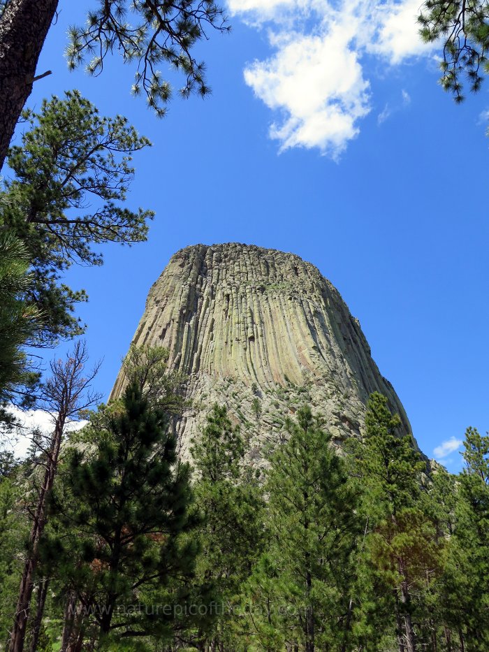 Devils Tower