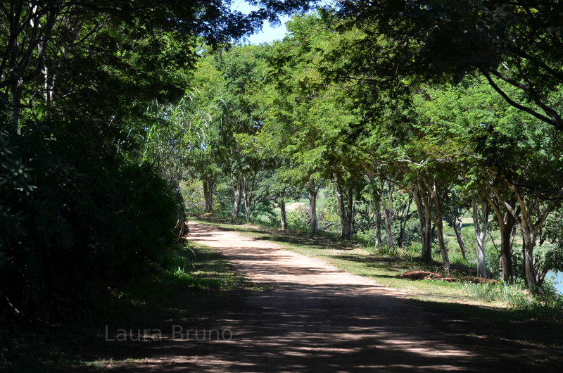 Pleasant country lane