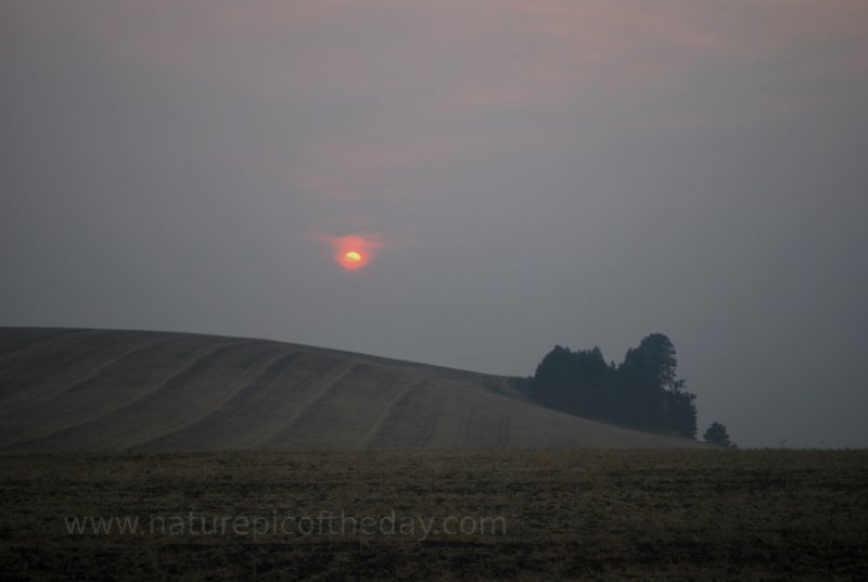 Sun through smoke