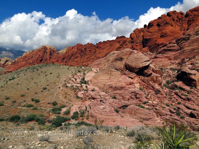 Red Rock Canyon, Las Vegas, NV