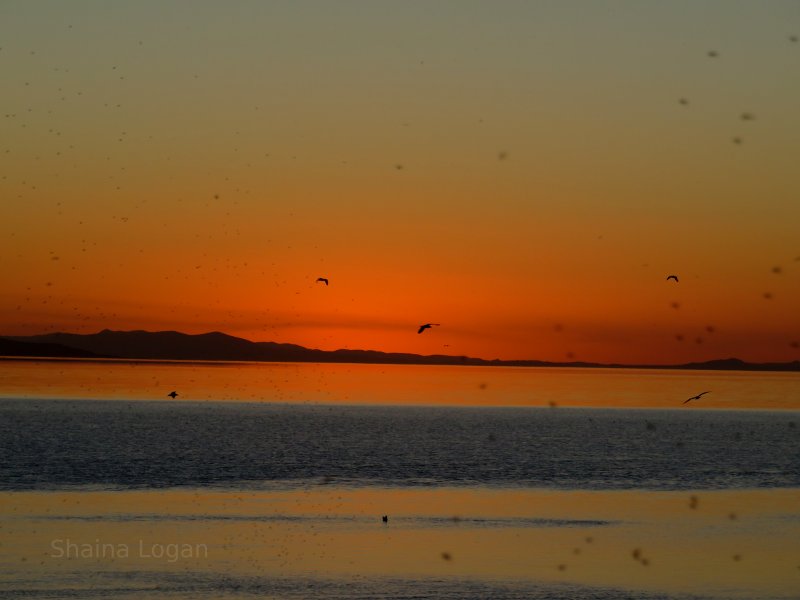 Great Salt Lake in Utah