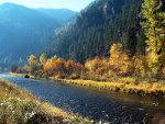 fall colors in the Rockies