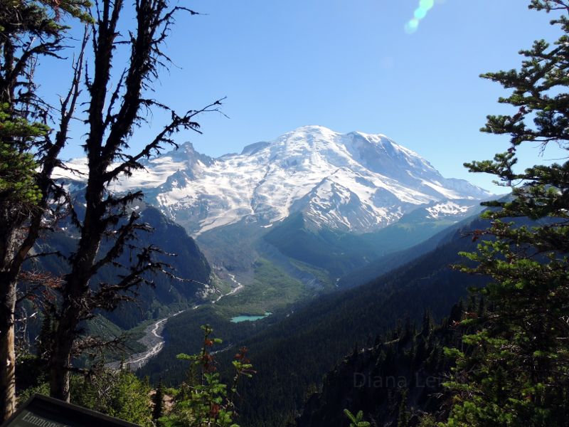 Mount Rainier from Sunrise Park