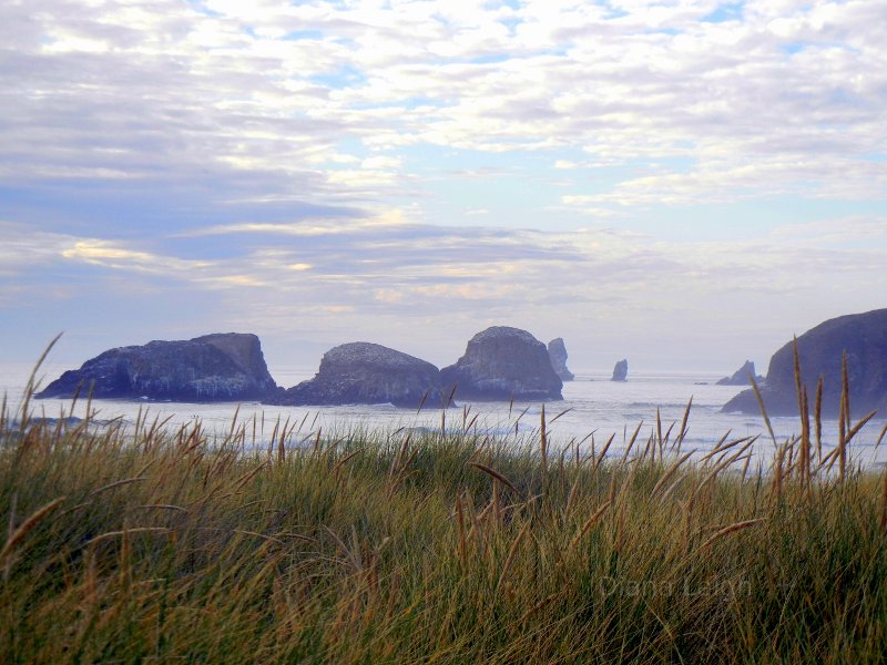 Cannon Beach, Oregon