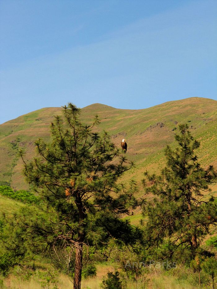 On the Grande Ronde River