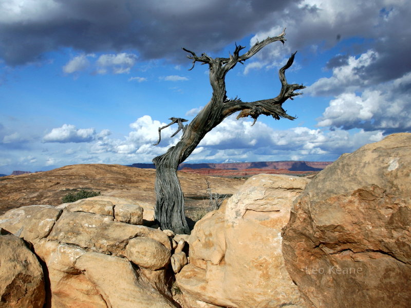 Canyonlands National Park in Utah