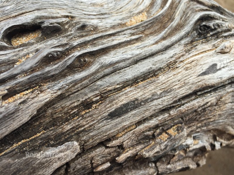 Driftwood