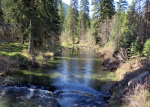 Beaver Creek in Spring
