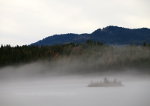 Fog in Idaho