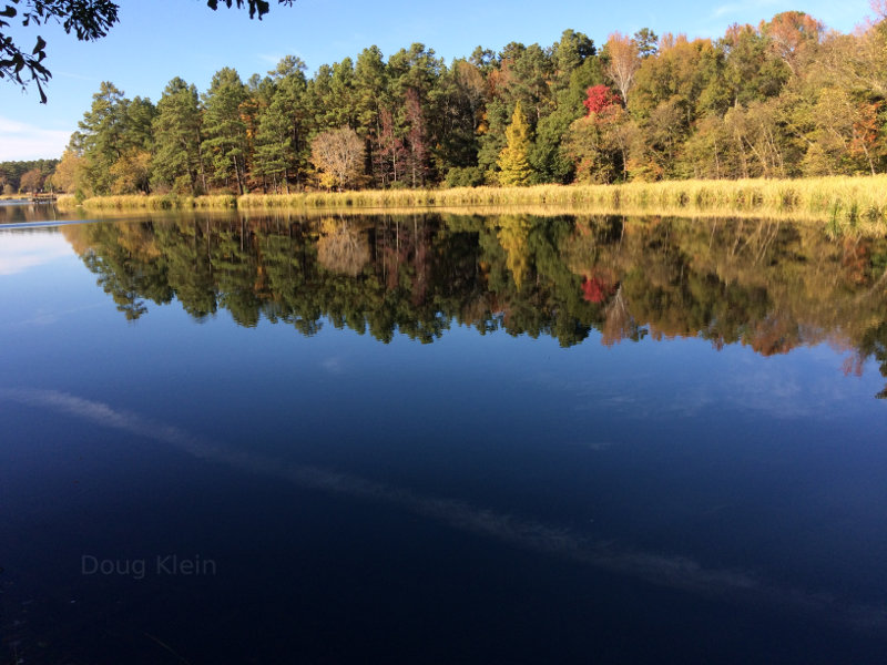 Beautiful scene at Tyler State Park in Texas