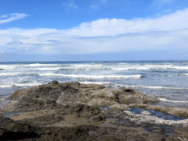 Breaking surf in Oregon