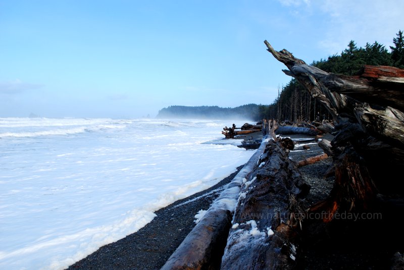 Waves, gravel beach, trees in Washington