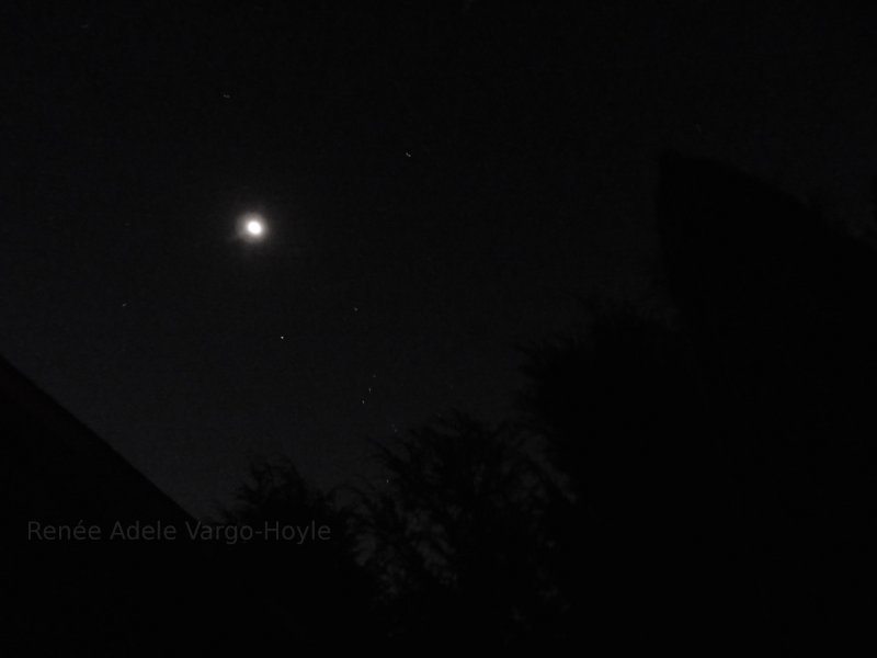 Skywatching with a steaming cup of coffee