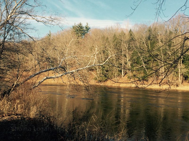 Muskegon river in Michigan