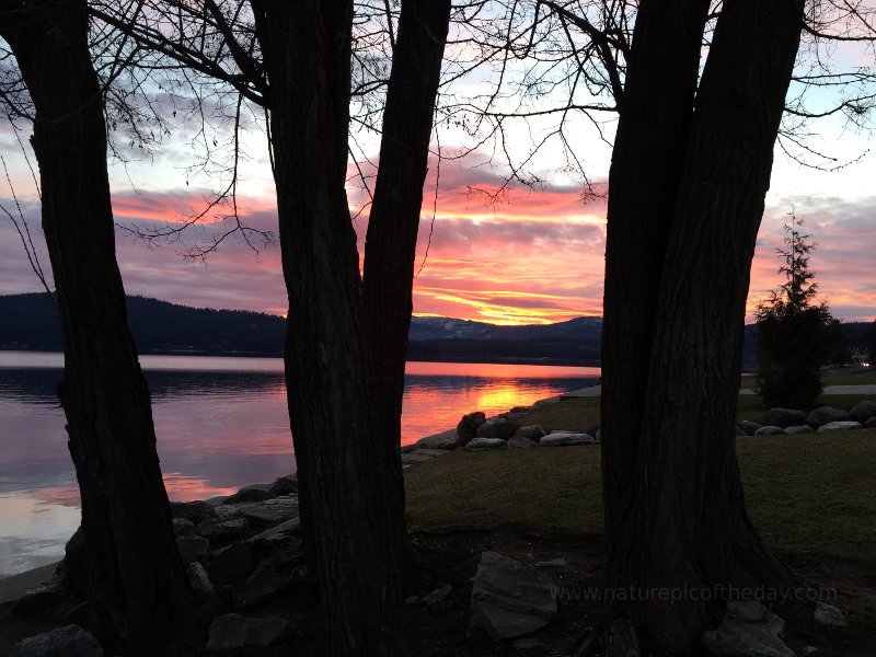 Sunset In Idaho