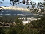 Mountains and Trees