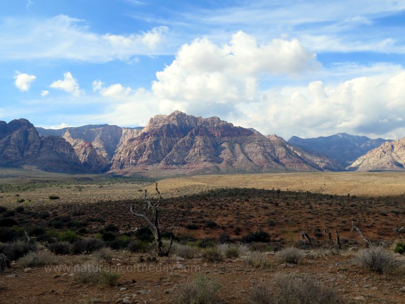 Red Rock Canyon near Las Vegas, NV