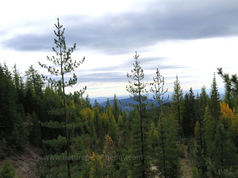 Fall Northern Idaho Wilderness