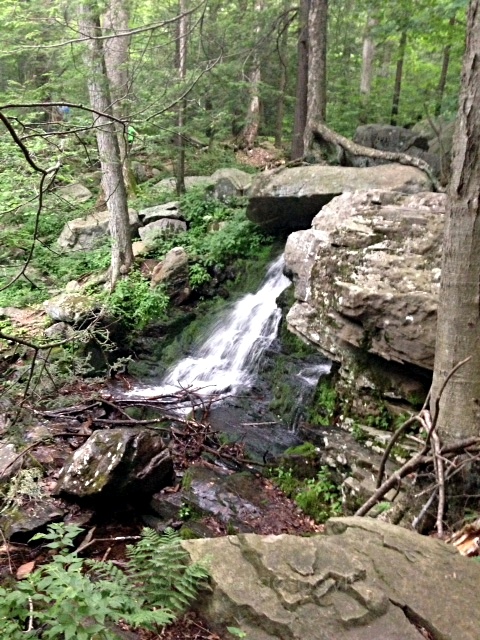 Creek in PA