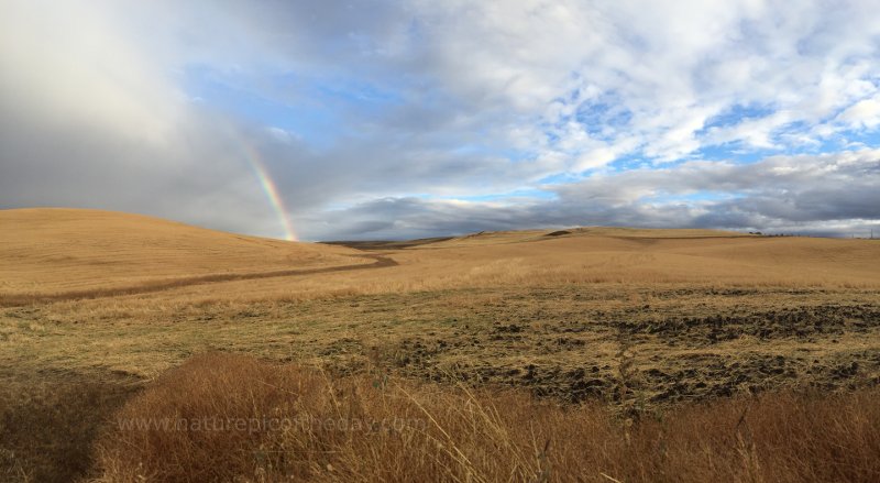 Rain Shower and rainbow over Idaho farm fields