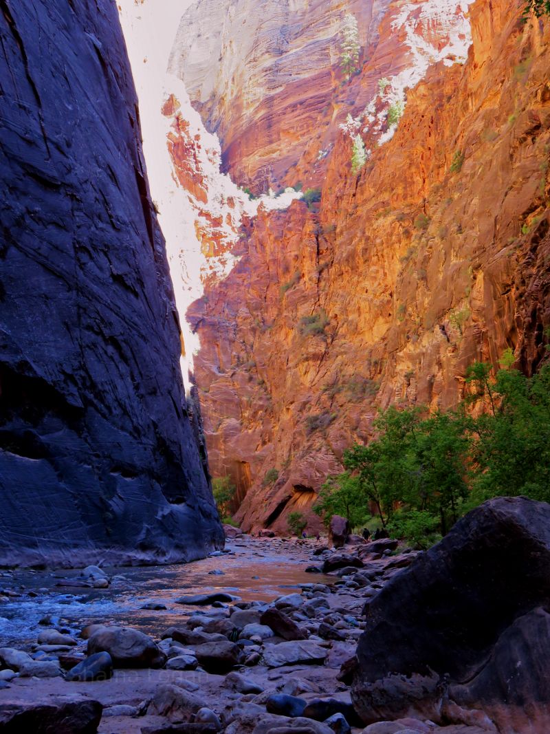 The Narrows at Zion National Park