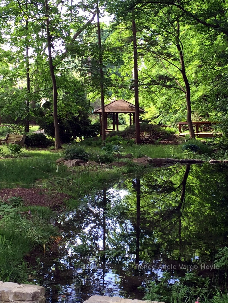 Garden in Nazareth, PA