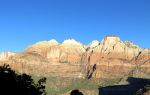 Sparse vegetation in the mountains at Zion National Park