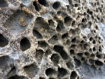 Honeycomb rock on the beach