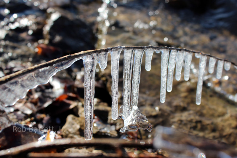 Water hangs frozen from a small twig