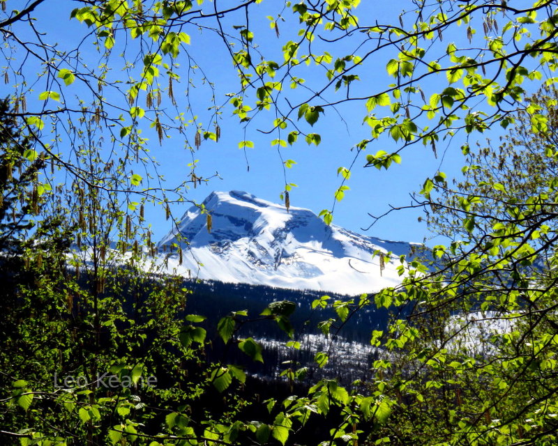 Glacier National Park, Montana