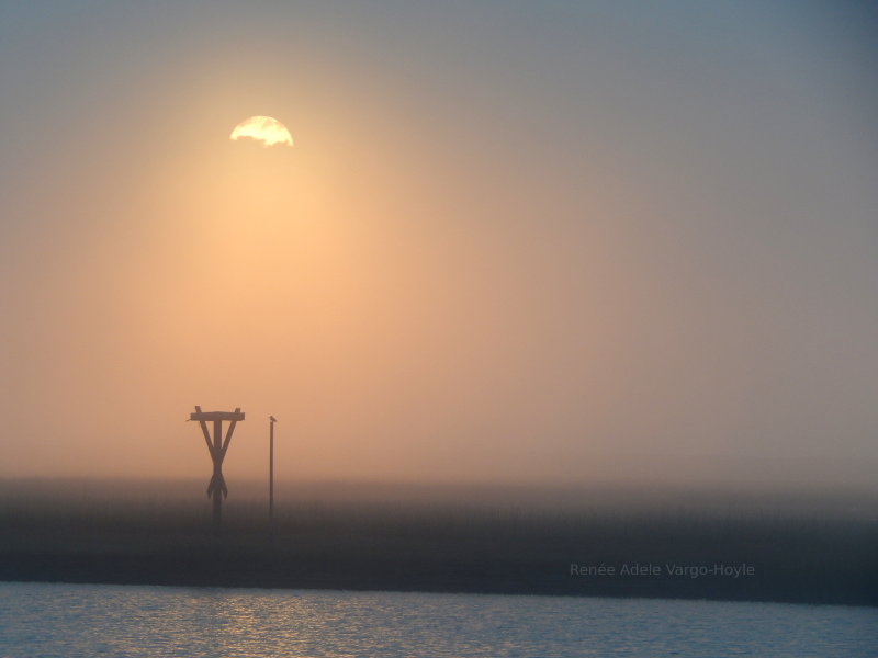 Fog in Avalon, New Jersey