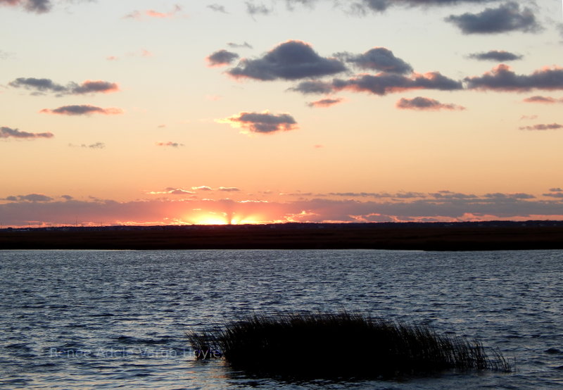 Sunrise in Avalon, NJ