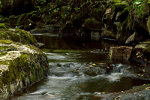 Creek in Norway