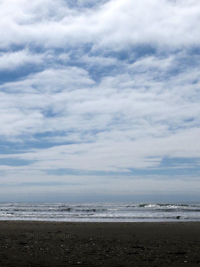 Beach in Washington state