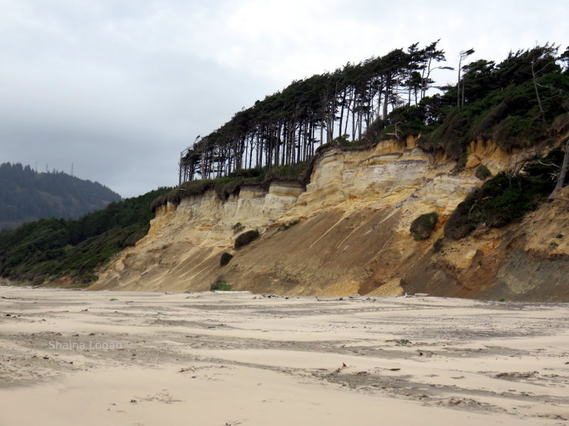 Windy and rainy day at the beach.